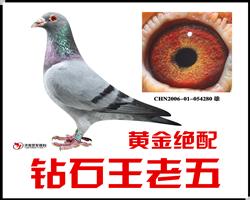 ʯ280