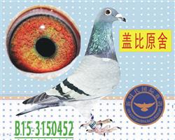 硿ֱŮ.³ϡŮ