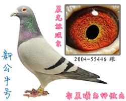 ¹ţţ86깫ţֱֲ