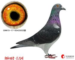 502