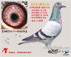 빫2015＾500