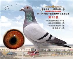 ����һ������23��