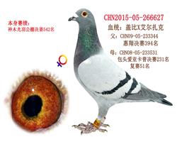 Ǳ627