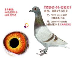 Ǳ533