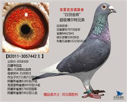 ����ˡ���ŵԭ��