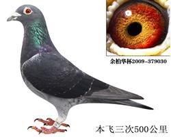 90--030