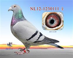 ɶʿֱŮ