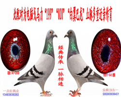 䴫 һ