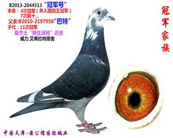 3-ɣ��ʿ��������ķ������