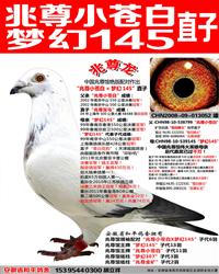 ԰ʿλ145ֱӡ