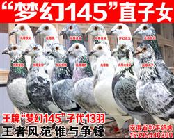 ����ݲ԰���ʿ���ơ��λ�145����Ů