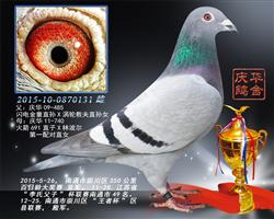 2015ͨг紨߱ 