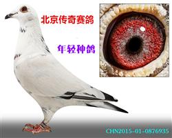 ѩӥ