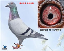 ղɭ019ػѪƷ