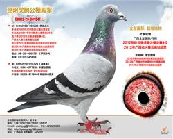 ��������������