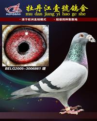 ȫתøǱֱӡ繫