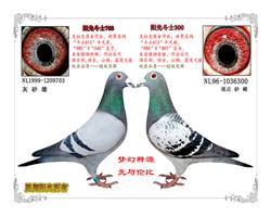 ������ղɭϡ����Ʒ