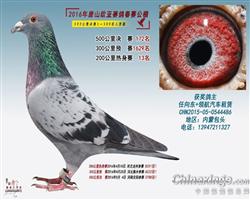 486