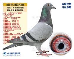 B2015-2307143