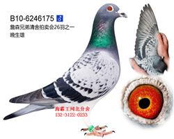 Ժӱ 132-3122-0322