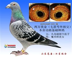 73ֱǺ游
