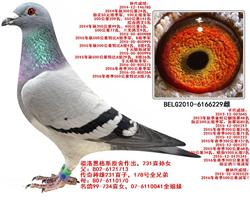 ˹231ֱŮ229Ʒ