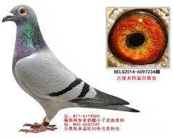 234Ʒ