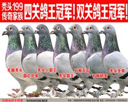 ˫ظĹظԴͷëͺͷ199