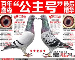 ղɭԭ�����˹�����к����������Ӵ���ݼ��