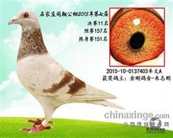 ӱͬ蹫11