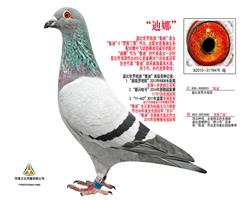 ȡ