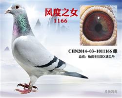 ֮Ů