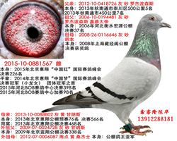 ζ567