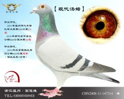 ���ִ���ķ��