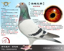 ķ罿ֱ
