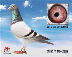 16괺18