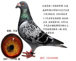 һָ