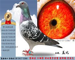 Ǳ3867