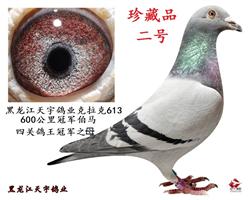 ƽһţƷţ