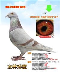 ,롰ھšֱ