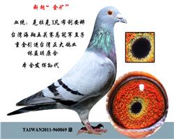 ϳᡰ