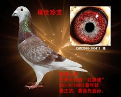 ϡ䱦2014㣩