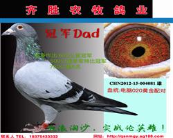 ھDad