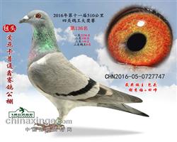 ���ǿ������ظ���������