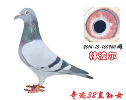 漣32ֱŮ漣960ֲ