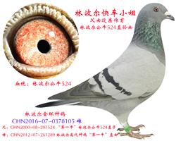ֲ쳵С㡾۳