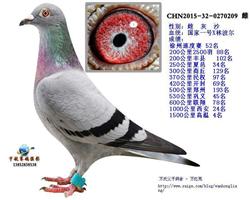 һ209