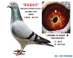 ³̩ɽŽֱ
