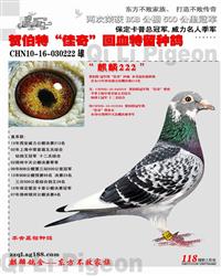 CHN10-16-030222