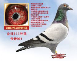 991